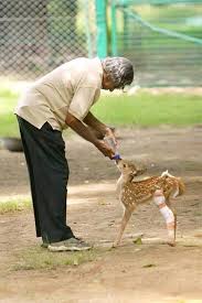 Abdul Kalam Care for animals